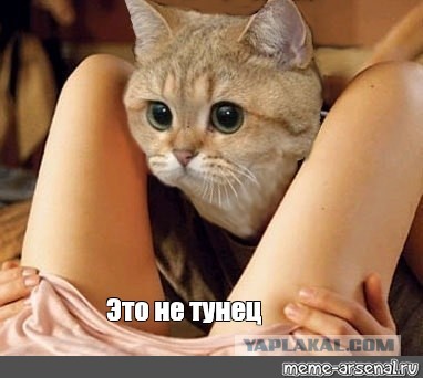 Займитесь спортом