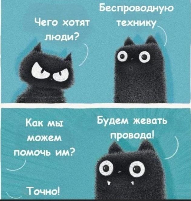 Веселые картинки в маленькую пятницу (03.12)