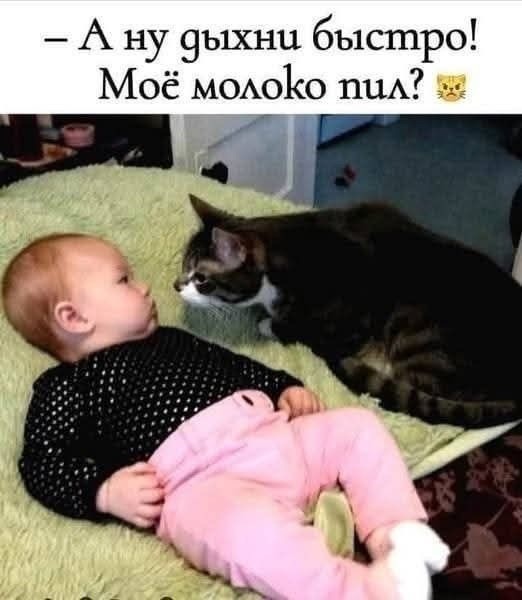 Пятницы картинки