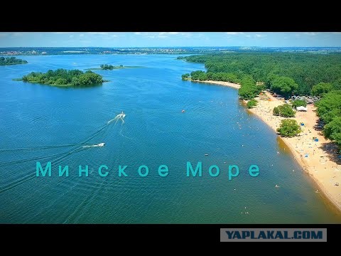 Беларусь стала главным поставщиком рыбы в Россию