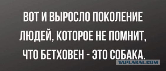 Картинки для деградации 143 (разной степени свежести)