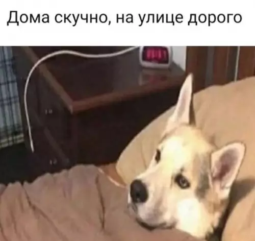 Картиночки, баянчики 25 февраля