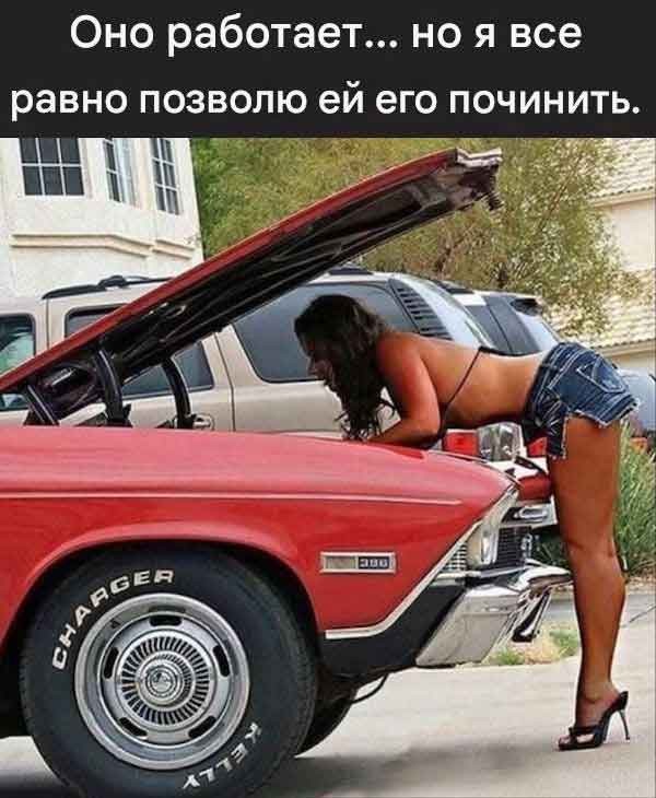 Веселые картинки в понедельник (18.05)
