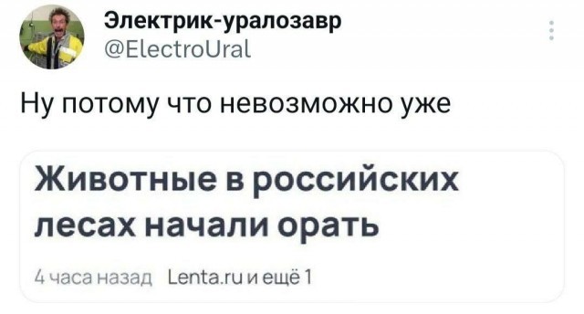 Картинки для деградации 216 (разной степени свежести)