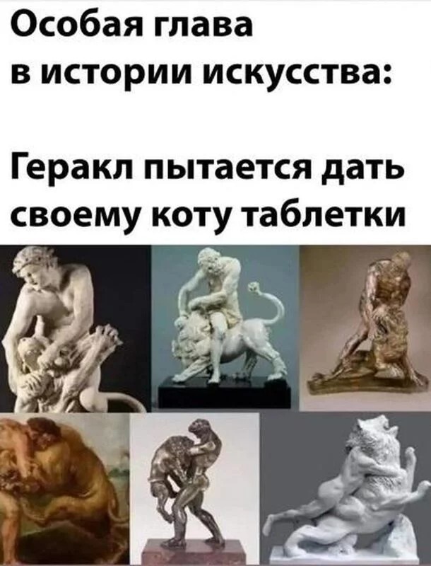 Починили лапку усатому