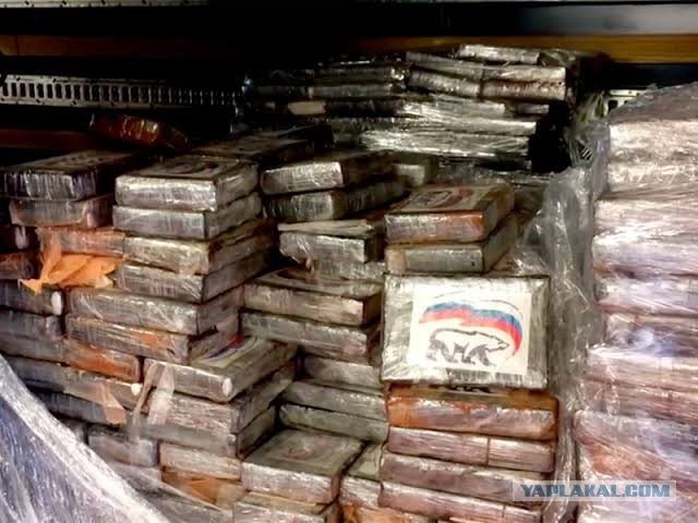 Более 300 кг кокаина изъяли в МО