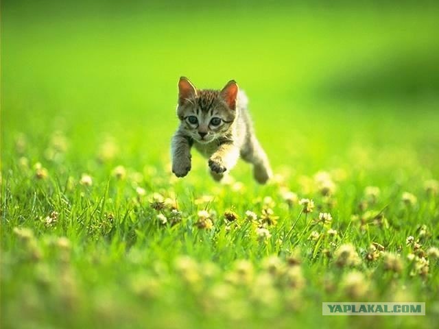Сейчас каааак жахнет!
