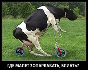 Фуршет на плотине