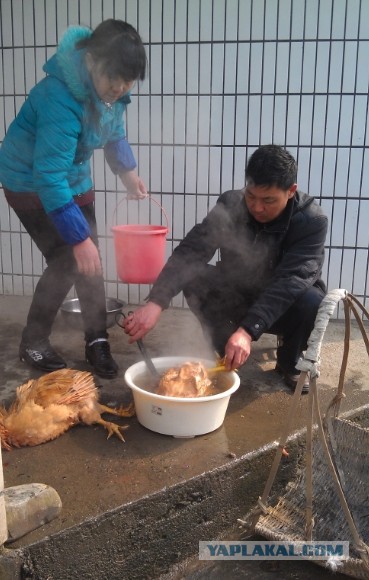 Мой родной город