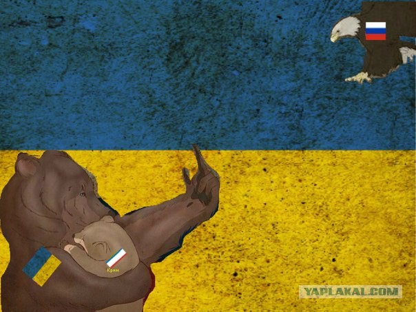 Майданутые на учениях