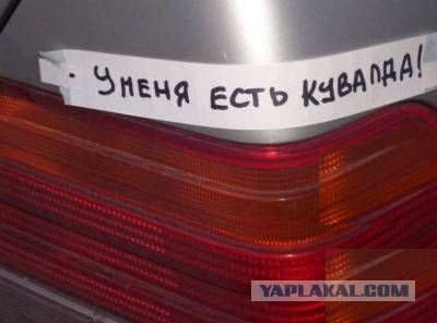 Подборка прикольных фото.
