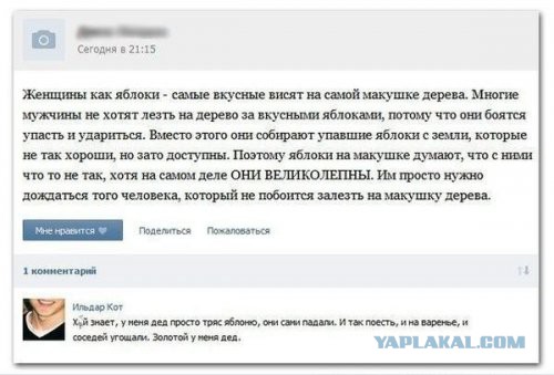 Смешные комментарии из социальных сетей