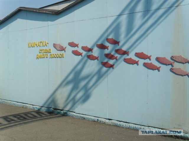 Здесь начинается Россия