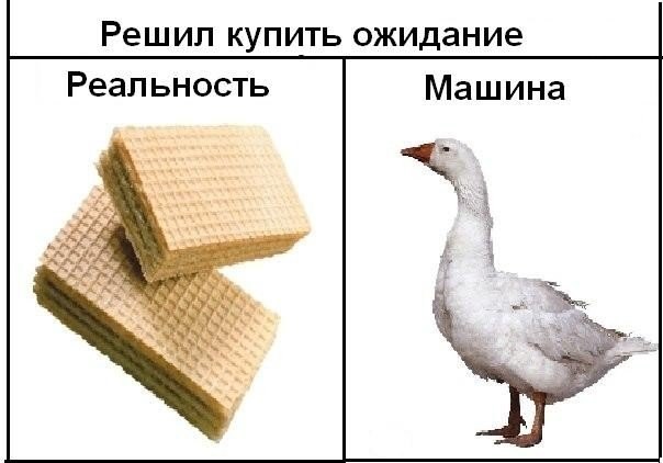 Покажу ВЫМЯ!