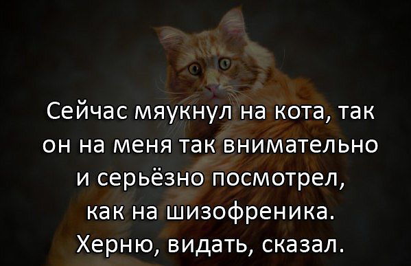 Немного позитива на пятницу.