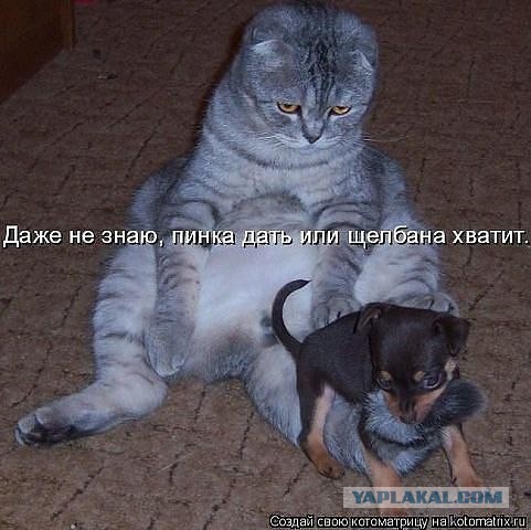 Чёрт, чёрт, чёрт!