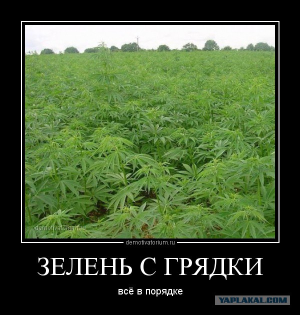 Чёрт, чёрт, чёрт!
