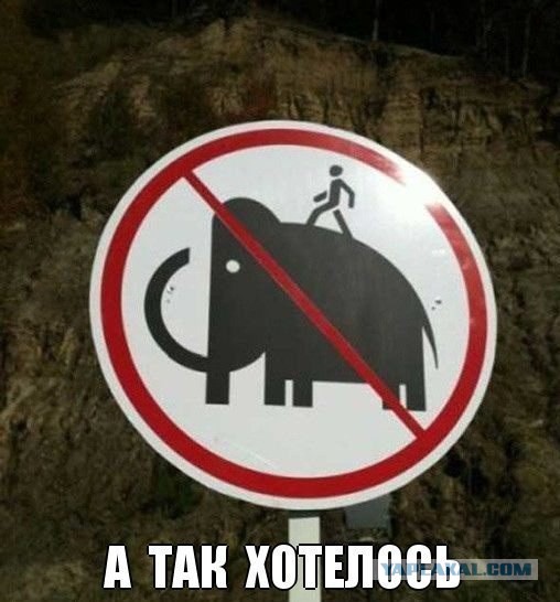 Пост ради Юки.