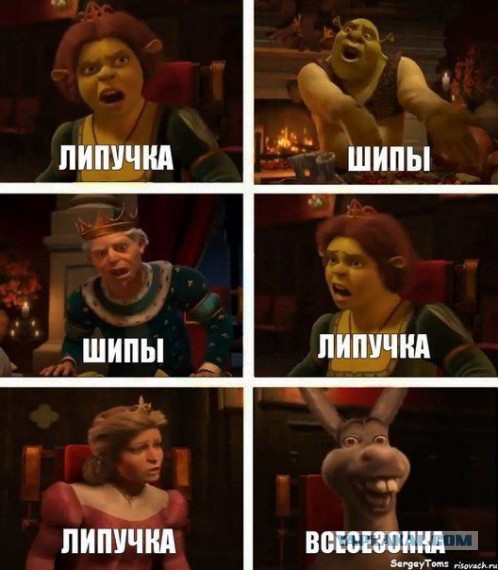 Зимняя резина: шипы или липучка.