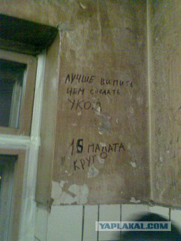 Филиал ада в СПб