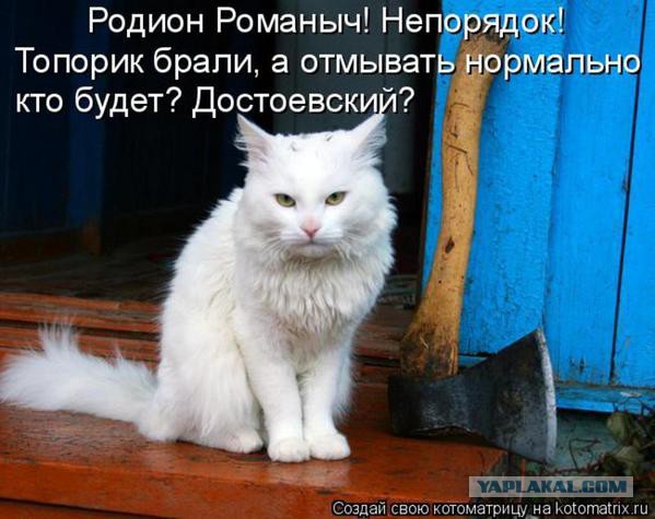 Смешные комментарии из социальных сетей 11.11.2014