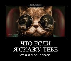 Картинки из этих ваших интернетов