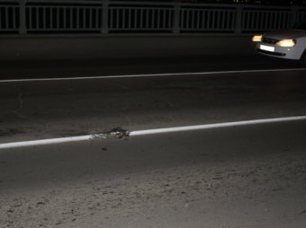 В Екатеринбурге ночью новую разметку нанесли