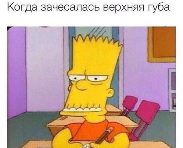 Веселые картинки