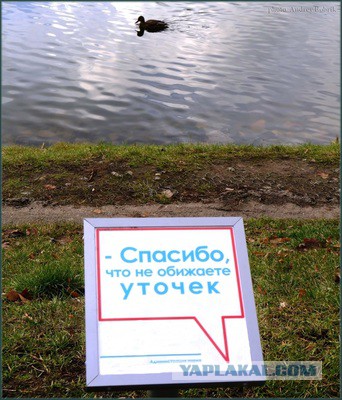 Картинки к понедельнику