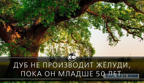 А вы знали что...