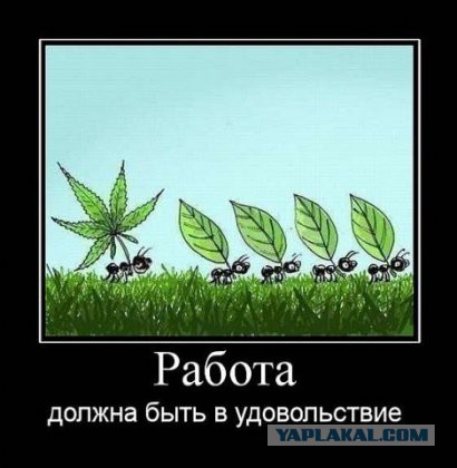 Картинки на пятницу