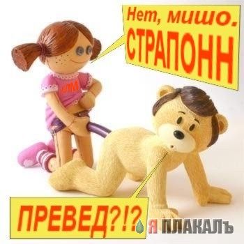 Превед медвед!