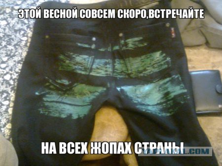 Злые шутки или минутка сарказма на ЯП-е, 16+