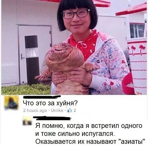 Подборка интересных и веселых картинок