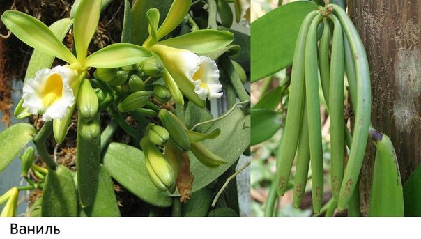 Интересные и веселые картинки