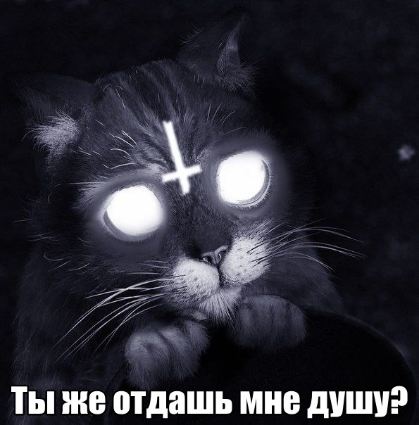 Майский черный юморок