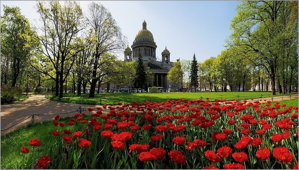 Картинки для отдыха глаз