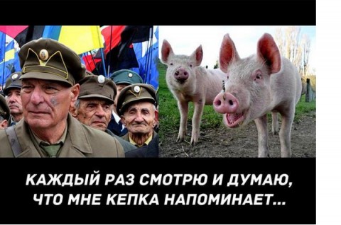 Зима в России - больше, чем зима!