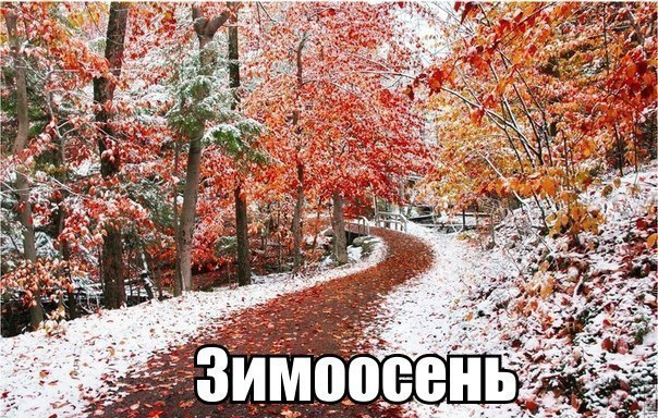 Порция картинок