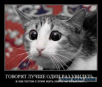 Почему женщины не любят секс?