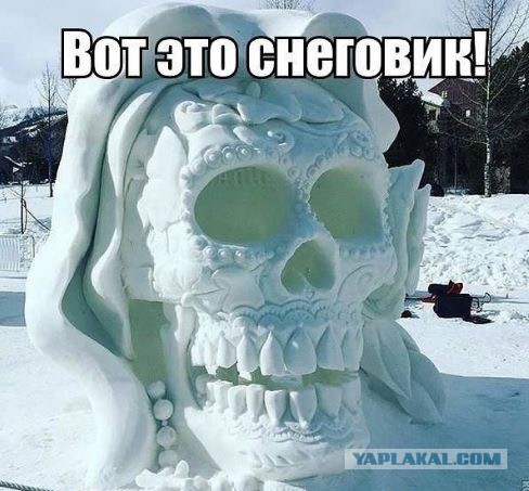 Порция картинок из сети
