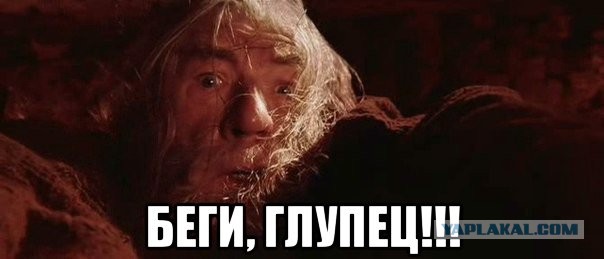 Нанял бригаду для ремонта