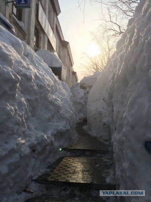 Приколы всякие