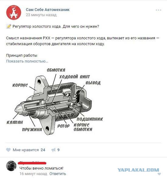 Весёлые и прикольные картинки