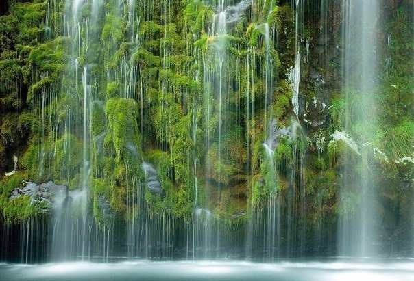 Моменты, запечатлённые на фото и просто позитив 5