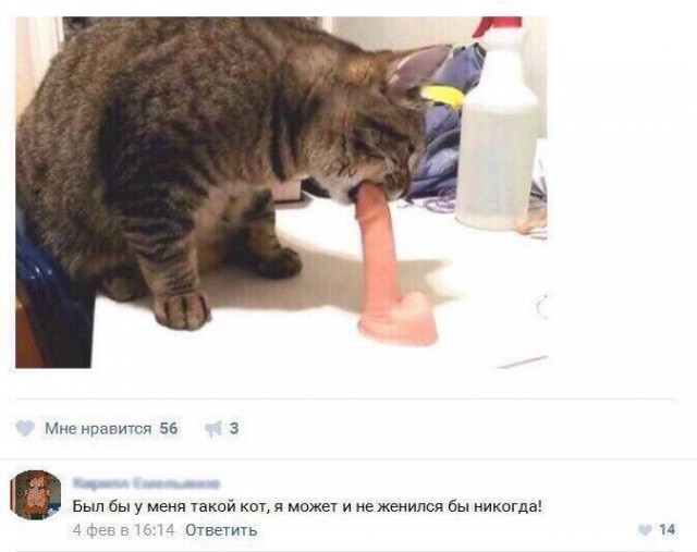 49 забавных картинок