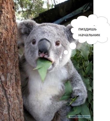 "О чем говорят мужчины"