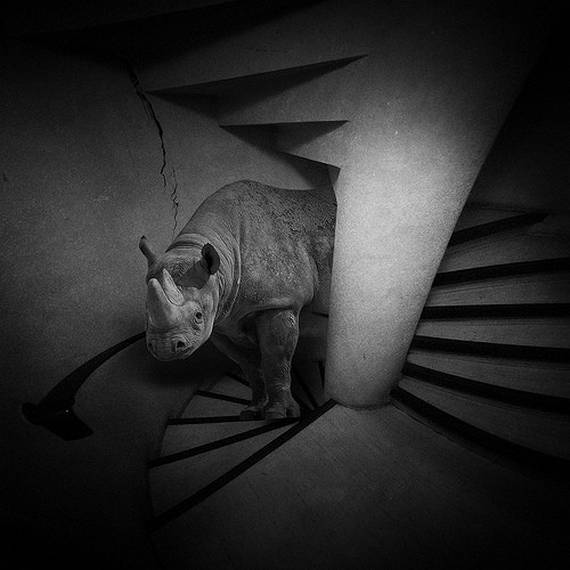 Непонятные картинки без смысла