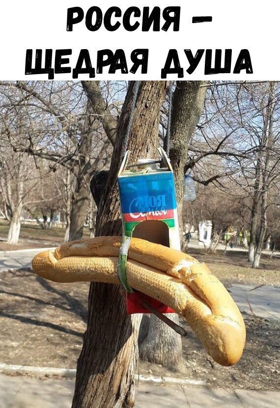 Не очень светлый и абсурдный юмор обо всём