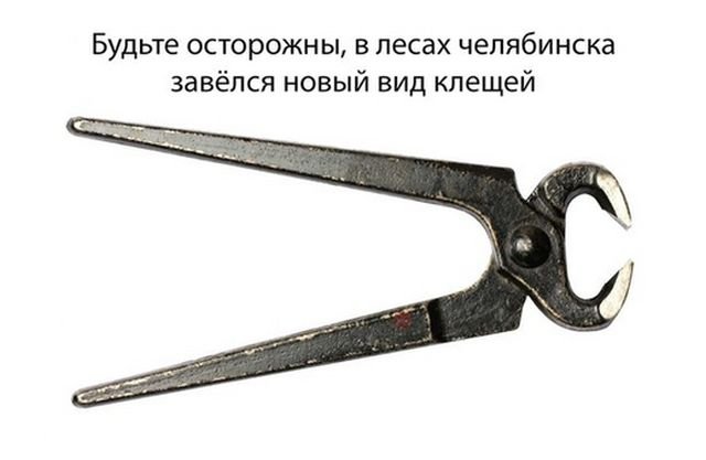 Прикольные картинки обо всем